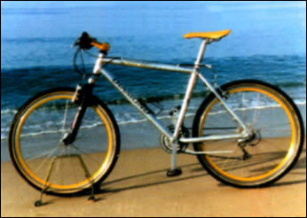 Alquiler de bicicletas en Elba ElbaService