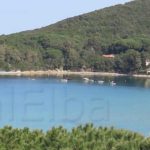 Elba Procchio