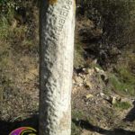 Columna de mármol Cipollino Procchio