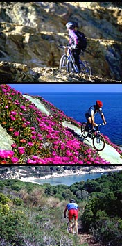 Bicicleta de montaña Elba El Viottolo