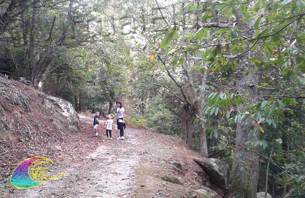 El camino que conduce al Romitorio di San François Xavier