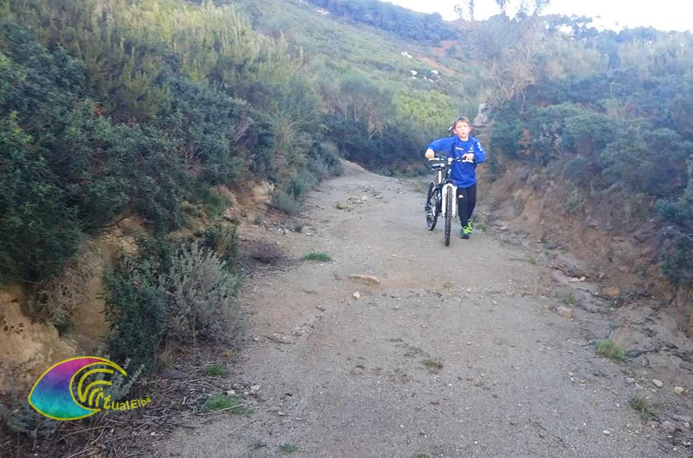 El camino a Domolito