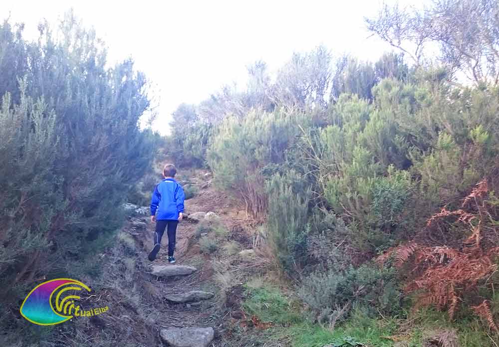 La última parte del camino hacia Domolito