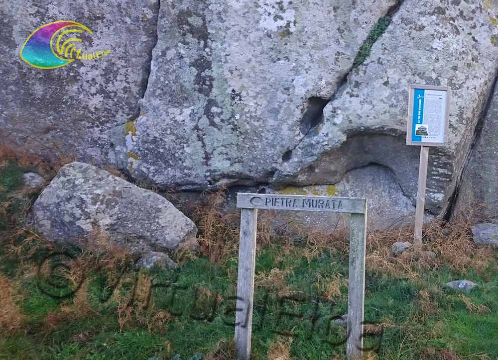 El signo descriptivo