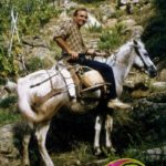 Viñedos y caballo