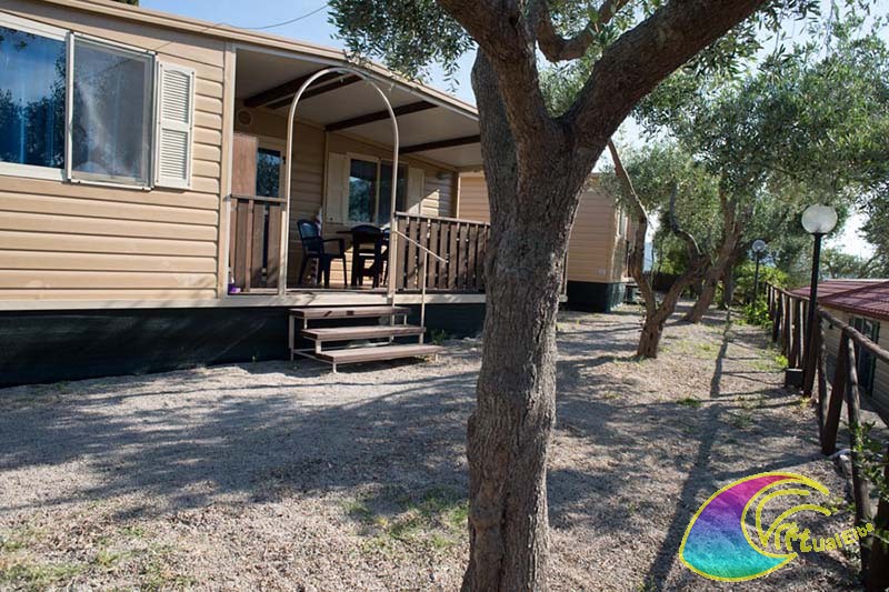 Bungalow Camping Ville degli Ulivi
