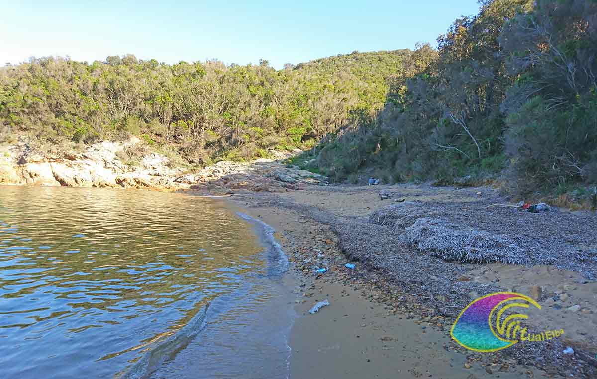 Spiaggia del Porticciolo Procchio