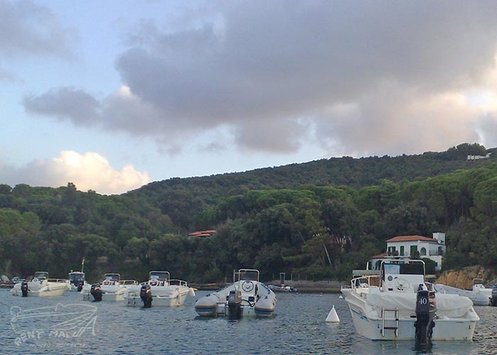 Alquiler de barcos en Elba Alquiler Malua