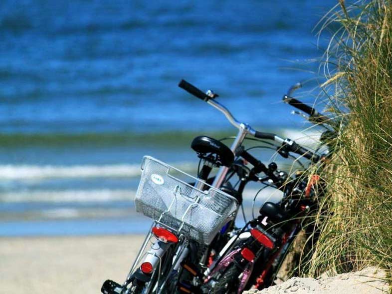 Servicio de alquiler de bicicletas Elba