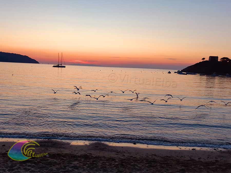 Las playas más hermosas de Elba para ver la puesta de sol sobre el mar.