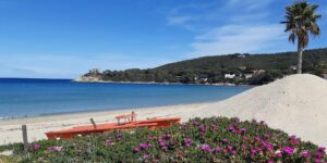 Playa de Elba de Campo all'Aia Procchio