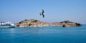 Gaviota en vuelo y el puerto de Portoferraio en la isla de Elba
