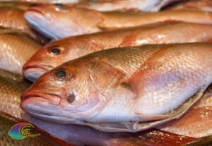 Pescado de Elba Paraghi