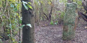 Cippo en el Poggio du Molino de Viento