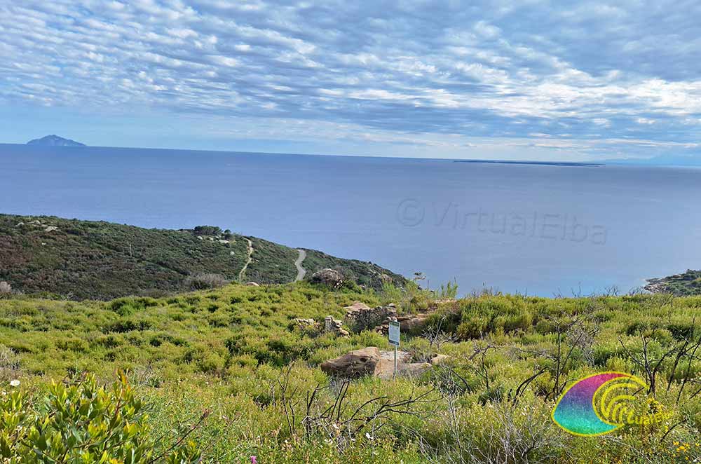 Antigua piedra de molino en granito Cavoli
