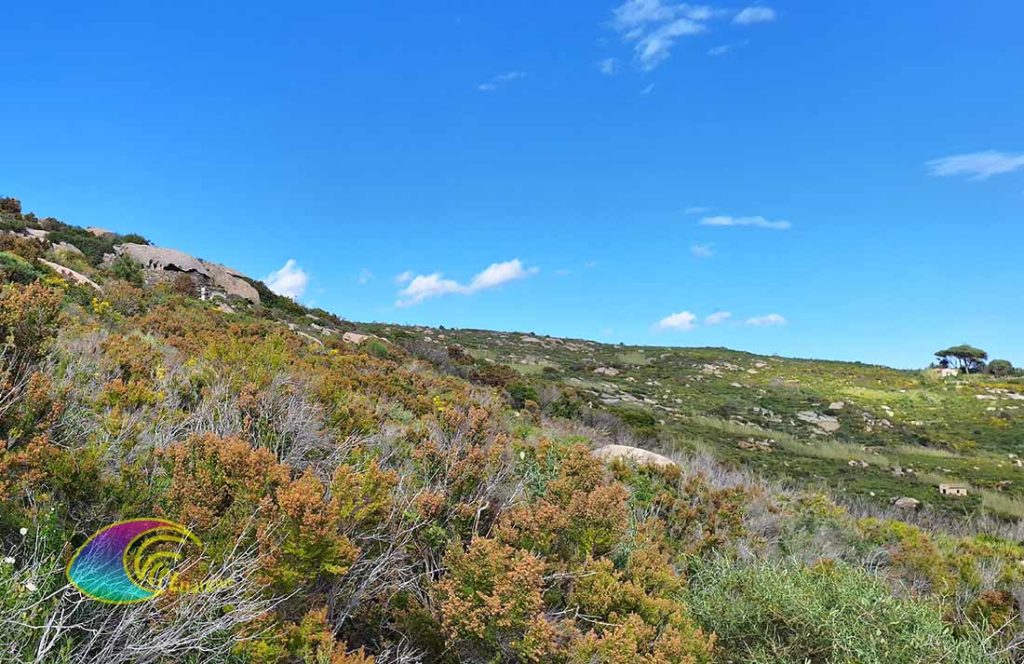 La Choza de Marco a la vista de la Antigua Cantera de Grottarelle