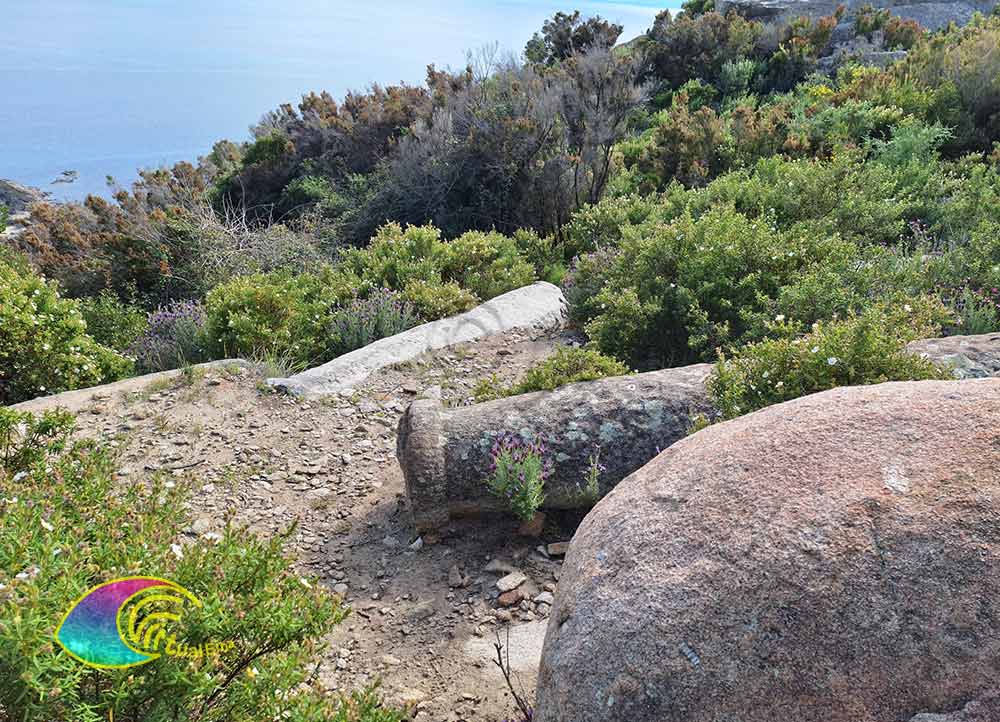 Granito de columna Antigua cantera Grottarelle