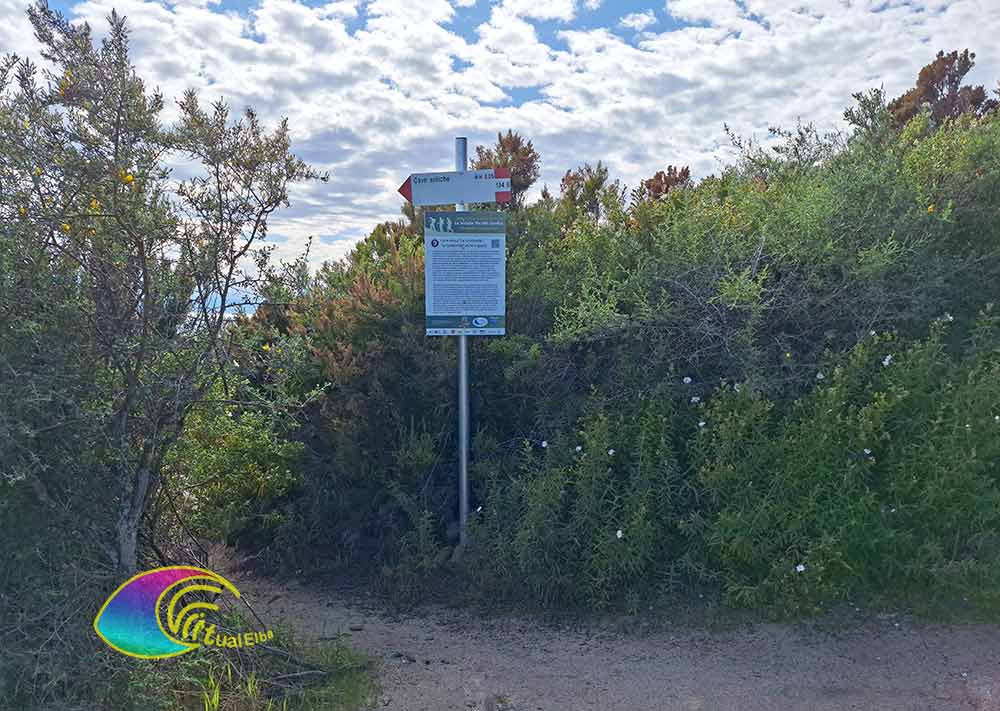 El tenedor de la Antigua cantera de Grottarelle