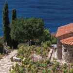 Mettiamo Radici all’Elba -  Fondazione Isola d’Elba, nell’ambito del prog