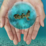 ETS Fondazione Isola d’Elba